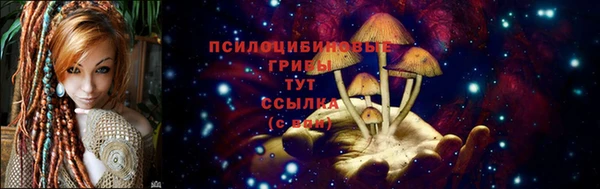 дурь Алексин