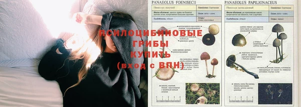 COCAINE Козловка