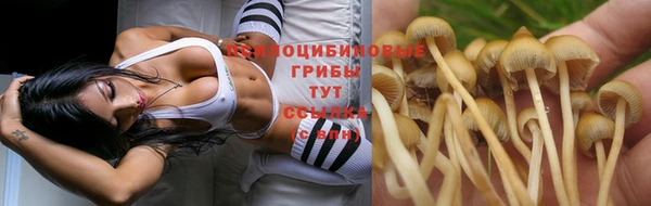 дурь Алзамай
