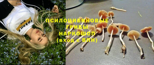 дурь Алзамай