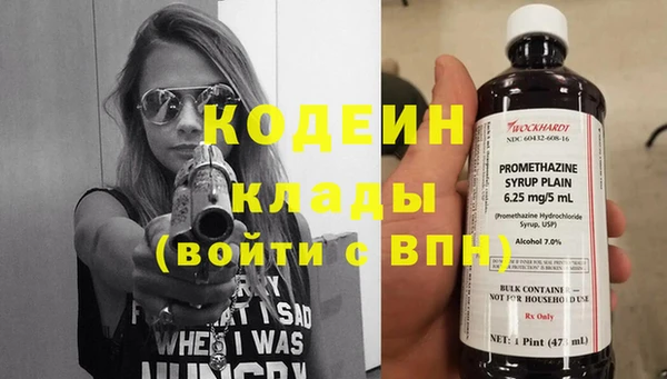 дживик Верея