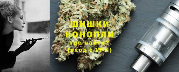 стаф Козельск