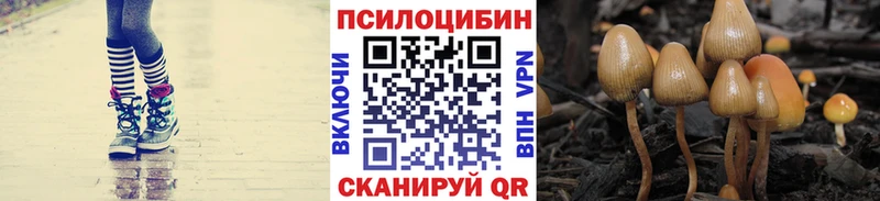 Галлюциногенные грибы Psilocybine cubensis  Шуя 